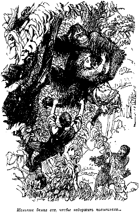 Иллюстрация к книге — Белая перчатка. В дебрях Борнео. В поисках белого бизона [i_035.png]