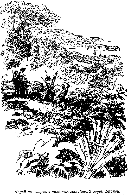 Иллюстрация к книге — Белая перчатка. В дебрях Борнео. В поисках белого бизона [i_037.png]