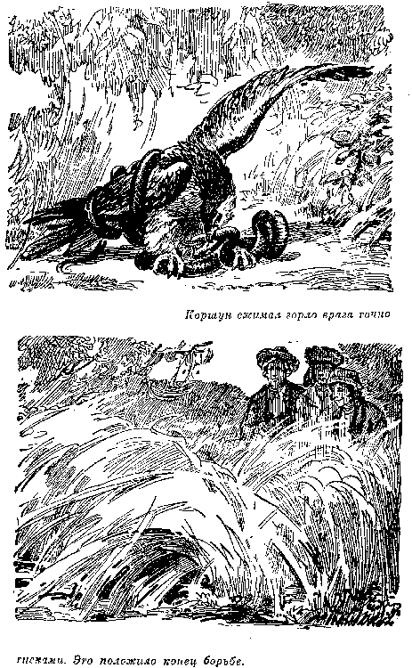 Иллюстрация к книге — Белая перчатка. В дебрях Борнео. В поисках белого бизона [i_044.png]