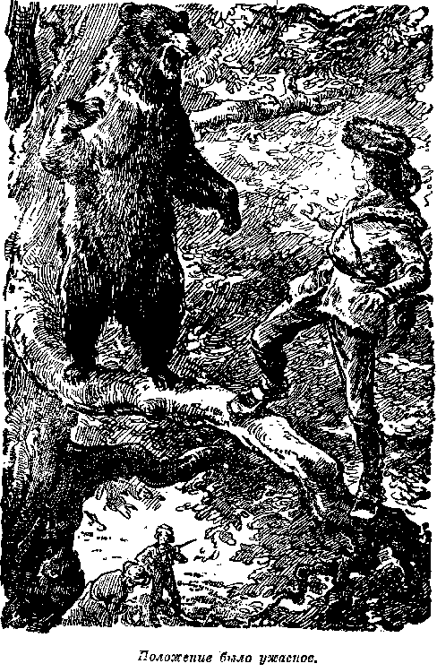 Иллюстрация к книге — Белая перчатка. В дебрях Борнео. В поисках белого бизона [i_046.png]