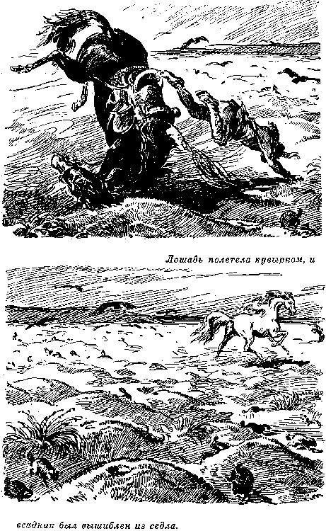 Иллюстрация к книге — Белая перчатка. В дебрях Борнео. В поисках белого бизона [i_048.png]