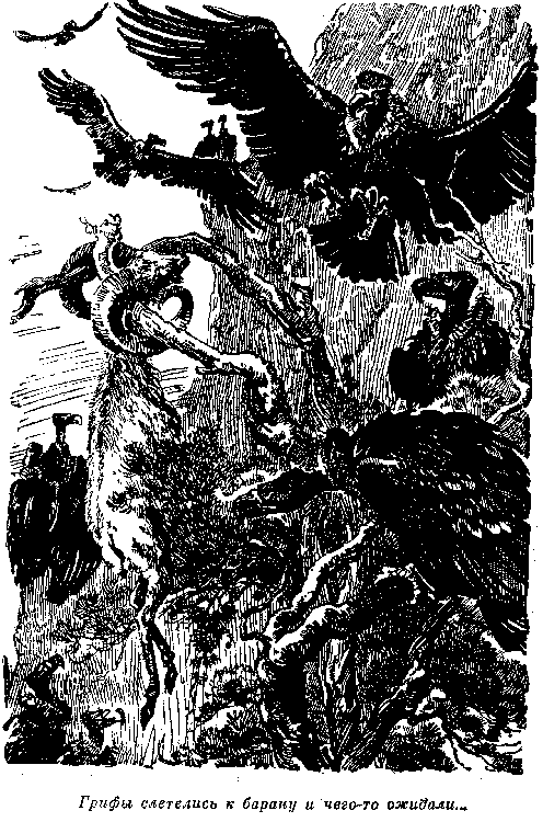 Иллюстрация к книге — Белая перчатка. В дебрях Борнео. В поисках белого бизона [i_051.png]