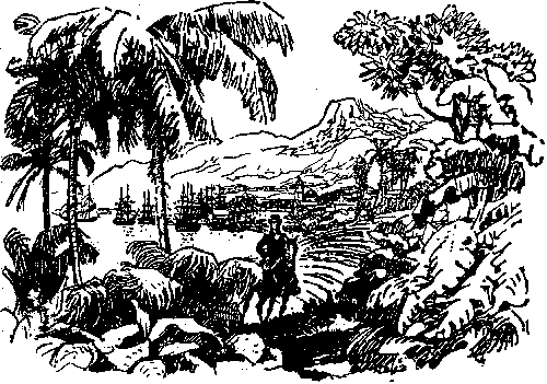 Иллюстрация к книге — Мароны. Всадник без головы [i_006.png]