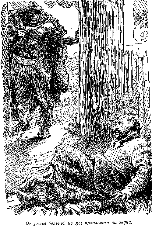 Иллюстрация к книге — Мароны. Всадник без головы [i_018.png]