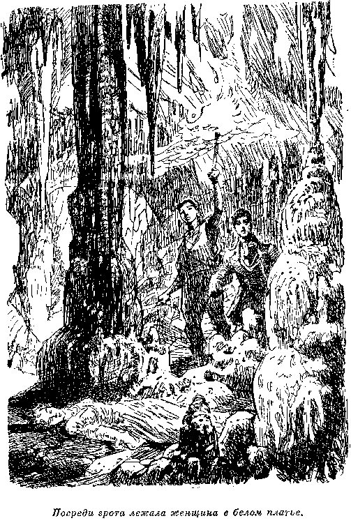 Иллюстрация к книге — Мароны. Всадник без головы [i_021.png]