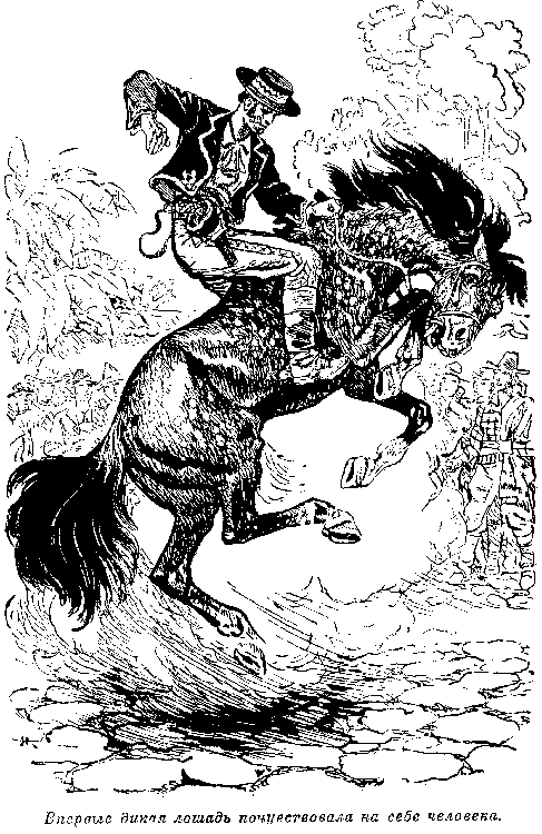 Иллюстрация к книге — Мароны. Всадник без головы [i_030.png]