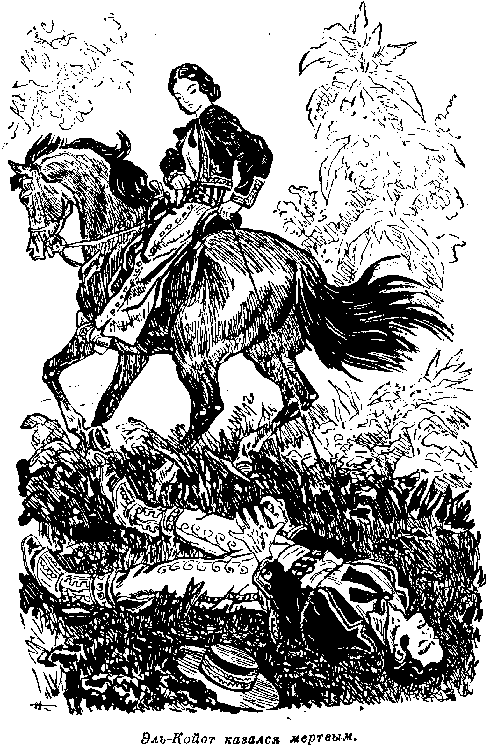 Иллюстрация к книге — Мароны. Всадник без головы [i_037.png]