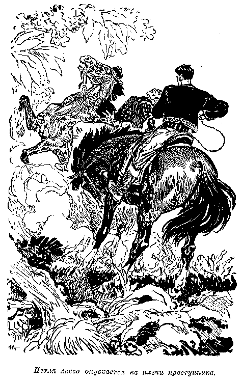 Иллюстрация к книге — Мароны. Всадник без головы [i_045.png]