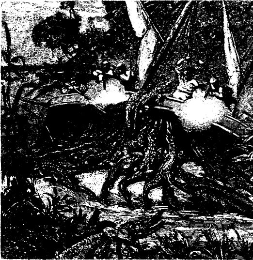 Иллюстрация к книге — Приключения в стране львов. Приключения в стране тигров [i_001.jpg]