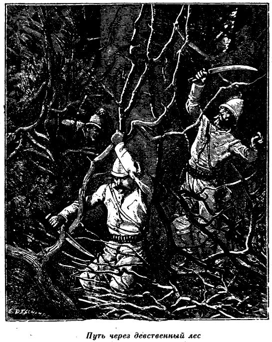 Иллюстрация к книге — Приключения в стране львов. Приключения в стране тигров [i_002.jpg]