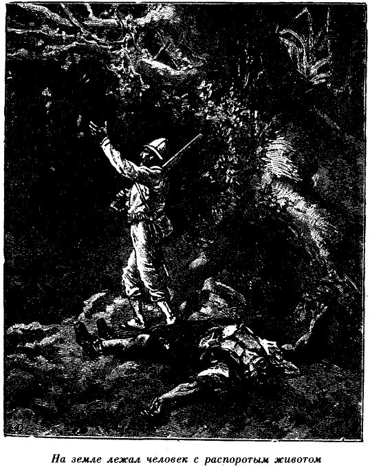 Иллюстрация к книге — Приключения в стране львов. Приключения в стране тигров [i_003.jpg]