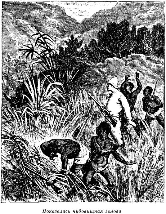 Иллюстрация к книге — Приключения в стране львов. Приключения в стране тигров [i_014.jpg]