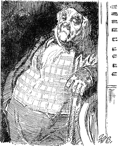 Иллюстрация к книге — Дамское счастье [i_005.png]