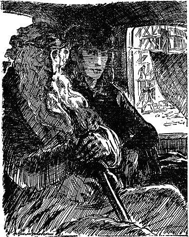 Иллюстрация к книге — Дамское счастье [i_033.png]