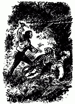 Иллюстрация к книге — Наследник из Калькутты [q19_09_26.jpg]