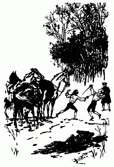 Иллюстрация к книге — Наследник из Калькутты [q19_25_24.jpg]