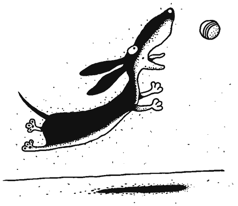 Иллюстрация к книге — Осенний полет таксы [i_011.png]