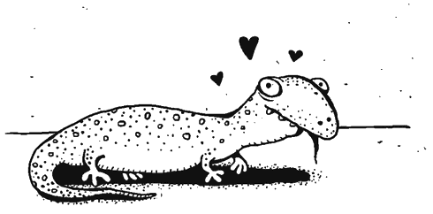 Иллюстрация к книге — Осенний полет таксы [i_012.png]