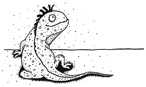 Иллюстрация к книге — Осенний полет таксы [i_038.png]