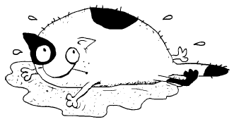 Иллюстрация к книге — Женщины и коты, мужчины и кошки [i_013.png]