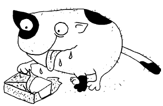 Иллюстрация к книге — Женщины и коты, мужчины и кошки [i_014.png]