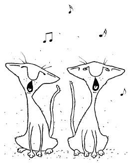 Иллюстрация к книге — Женщины и коты, мужчины и кошки [i_042.png]