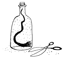 Иллюстрация к книге — Женщины и коты, мужчины и кошки [i_045.png]