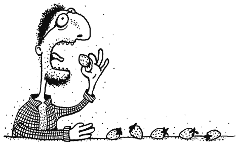 Иллюстрация к книге — Как правильно ошибаться. Большая книга мануалов [i_002.png]