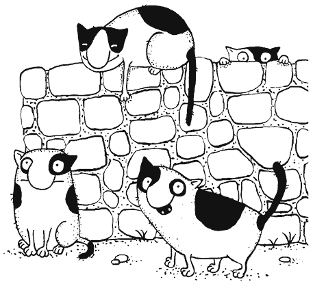 Иллюстрация к книге — Как правильно ошибаться. Большая книга мануалов [i_008.png]