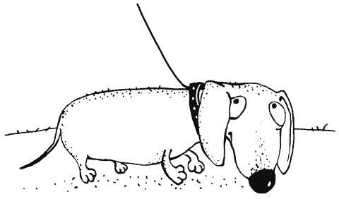 Иллюстрация к книге — Как правильно ошибаться. Большая книга мануалов [i_009.png]