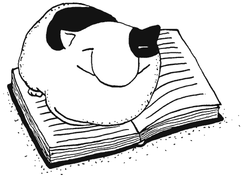 Иллюстрация к книге — Как правильно ошибаться. Большая книга мануалов [i_098.png]