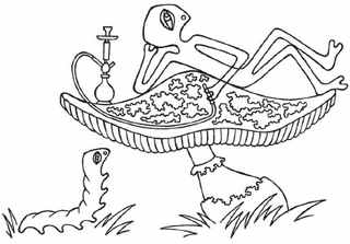 Иллюстрация к книге — Книга обманов [_13.jpg]