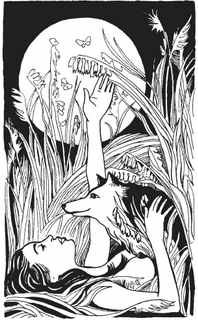 Иллюстрация к книге — Книга обманов [_56.jpg]