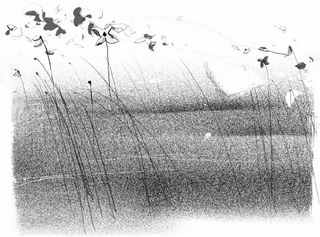 Иллюстрация к книге — Книга обманов [_69.jpg]