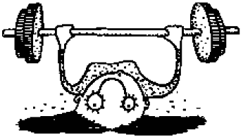 Иллюстрация к книге — Справочник по уходу и возвращению [i_017.png]