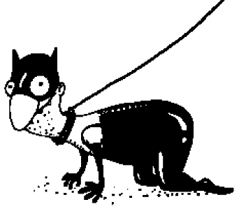 Иллюстрация к книге — Справочник по уходу и возвращению [i_026.png]