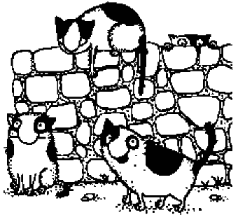 Иллюстрация к книге — Справочник по уходу и возвращению [i_040.png]