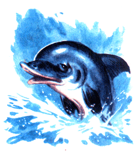 Иллюстрация к книге — Приключения Пиноккио [i_042.png]