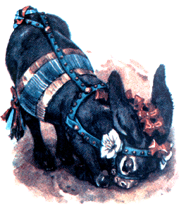 Иллюстрация к книге — Приключения Пиноккио [i_073.png]