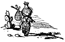 Иллюстрация к книге — Приключения Чиполлино [g05.png]