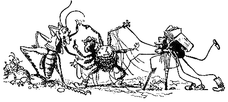 Иллюстрация к книге — Приключения Чиполлино [g53.png]