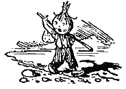 Иллюстрация к книге — Приключения Чиполлино [g69.png]