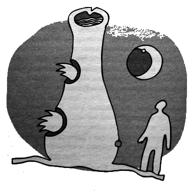 Иллюстрация к книге — Любить с открытыми глазами [i_016.png]