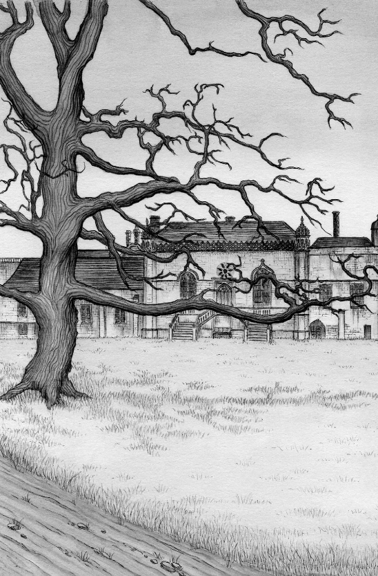 Иллюстрация к книге — Рыцарь-призрак [i_023.png]