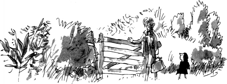 Иллюстрация к книге — Матильда [i_079.png]