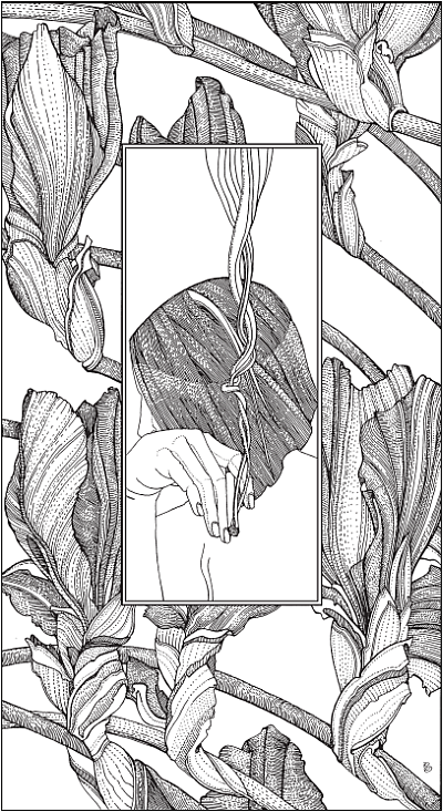 Иллюстрация к книге — Арысь-поле [i_005.png]