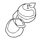 Иллюстрация к книге — Нежный бренд или Рождество в Париже [i_010.png]