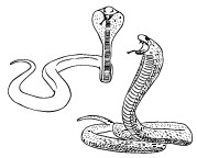 Иллюстрация к книге — Тонкие материи, или Туманы лондонских улиц [i_020.jpg]