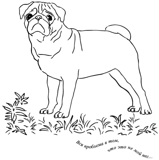 Иллюстрация к книге — Предчувствие тебя [_142_143.png]