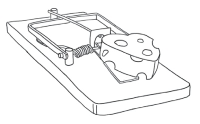 Иллюстрация к книге — Расстаться и... влюбиться вновь [i_065.jpg]